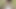エボニーTSが尻を揺らし、美しいペニスと体を見せつける THICKWITHDIXKK フォロー MYTWITTER
