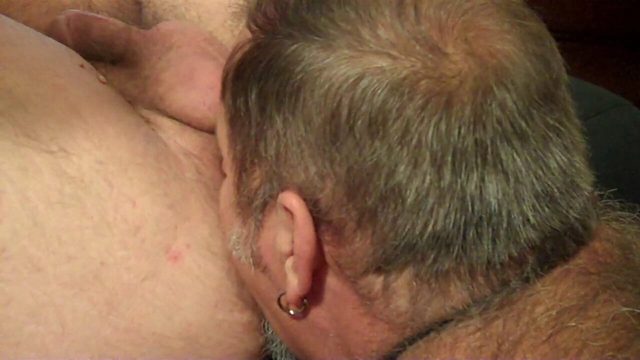 Eating Bear from ass to cock!!