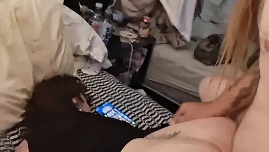 Bex and Rex first impressions