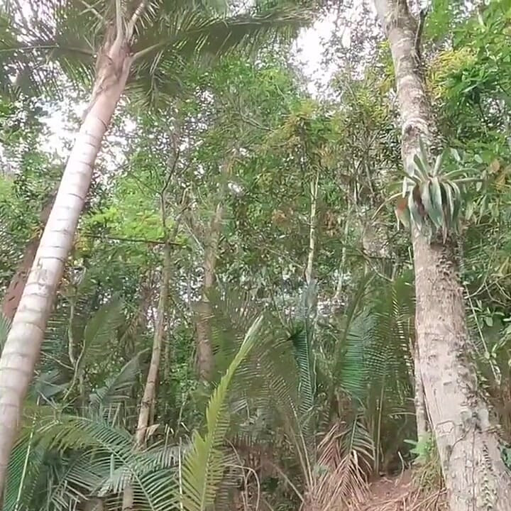 Принять душ и пописать в ванне на улице