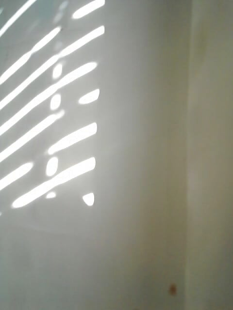 מקלחת מתגרה