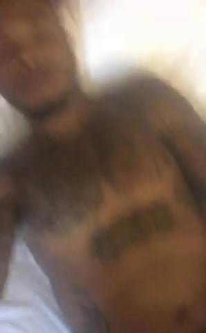 Pronstar Adonis in the Morning