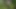 I fucked a beautiful Latina in the forest