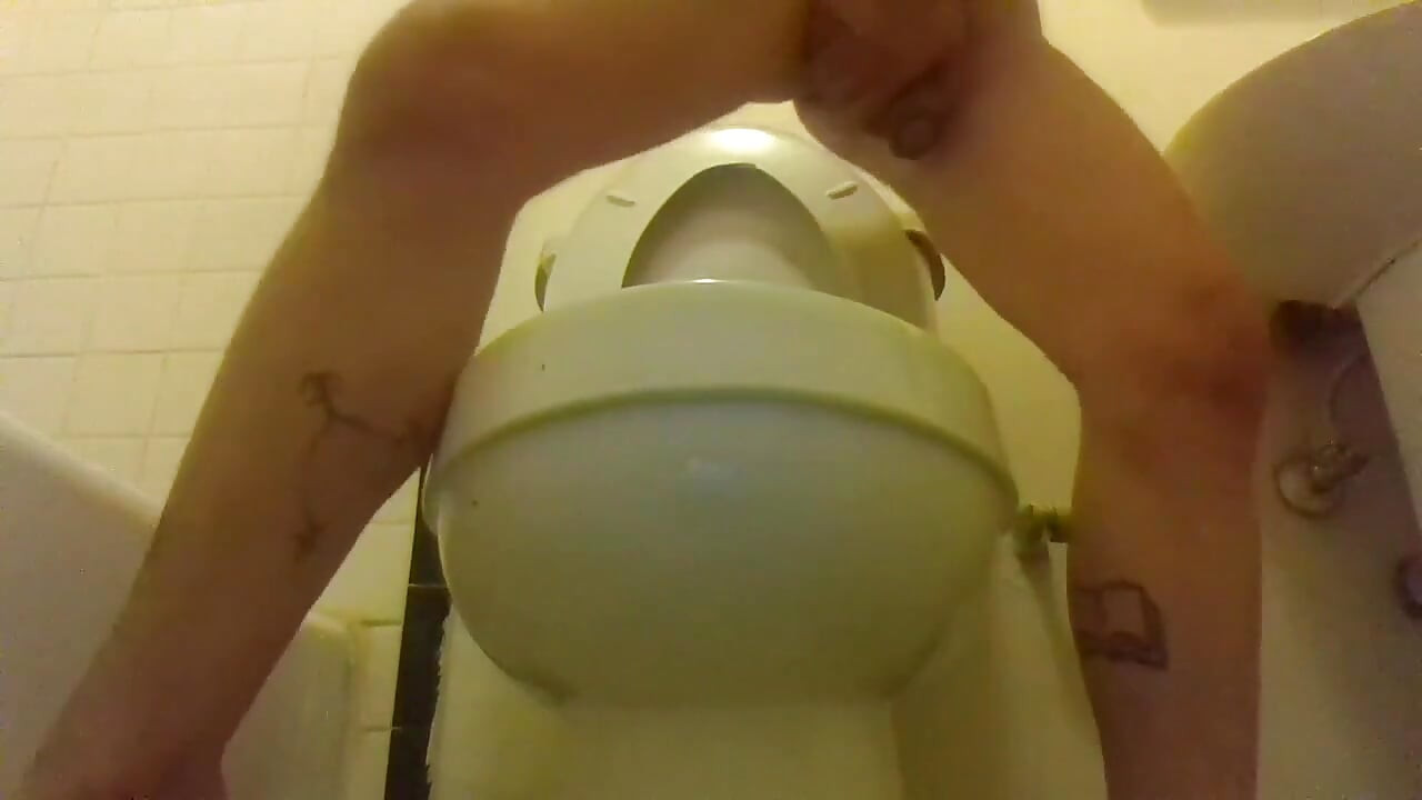 Pairando sobre meu banheiro, enquanto faço xixi