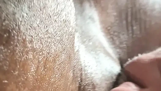 Малышка Blue Nasty обожает, когда за ней наблюдают