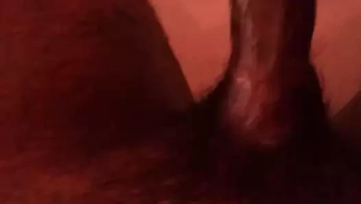 Okşayarak benim büyük Hint horoz için anjali