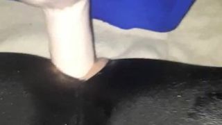 Dildo anal in Spandex-Strumpfhosen
