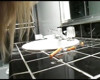Pratinjau video