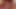 Beautiful German girl eating warm cum