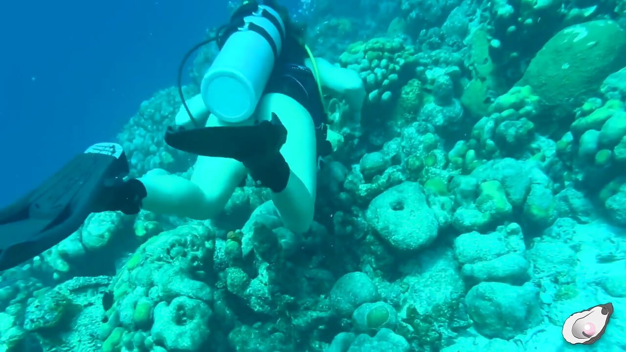 เวลาโดดเดี่ยวในโบแนร์