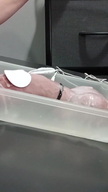来自“蜡和 2b estim 射液”的迷人时刻