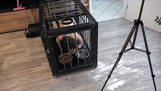 The Everyday Life of a Serf Slave