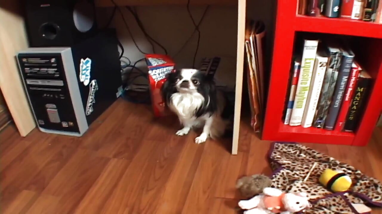 Abia împlinită - Jessica Valentino, o fată excitată este futută