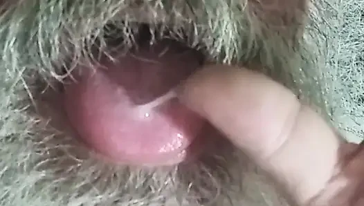 Makro süt yedim