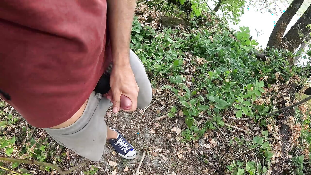Surprise in the Foliage
