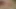 69 fuck each other,while she sucks and licks my cock,I lick her ass and suck pussy