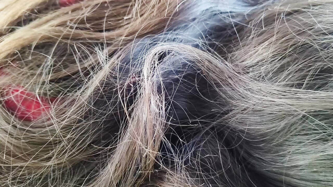 Namorada dando boquete para o namorado em sexo no carro em público