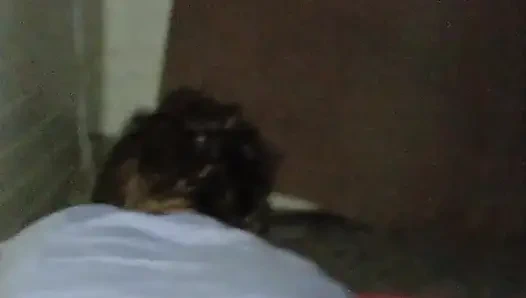 Наполовину бомба-палка не поедает задницу, и я арендую ее, чтобы дать ее ему