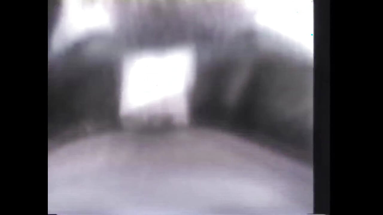 Похільні прихильники