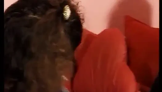 This Is an Amateur Babe From Germany Who Likes to Suck Cock and Rides It