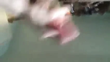 günün bitişi