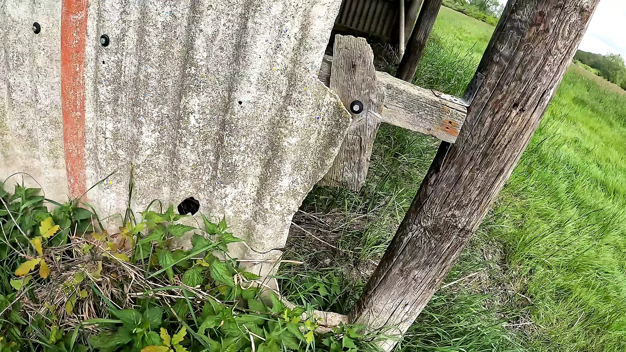 Sesija lišavanja sisa u cowshed-u