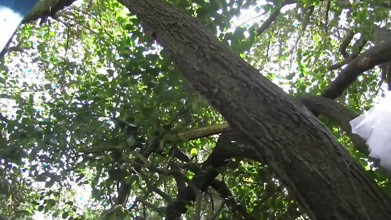 She climbs on tree and fingers her pussy