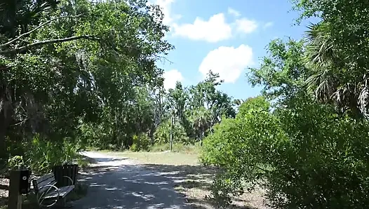 Full Day Video