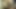 素晴らしい女子大生は一緒に遊ぶのが大好きです