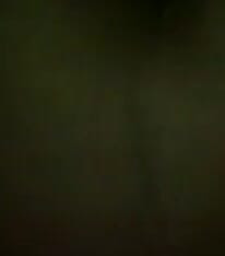 Natural Big Hair and Boobs Indian Girl First Ever Best Amateur Homemade Des