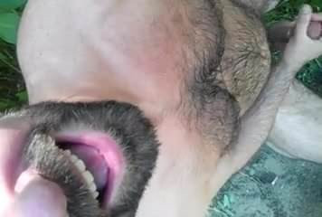 Wow