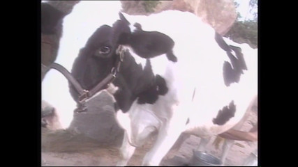 Gottinnen Der Lust 2 – Episode 1