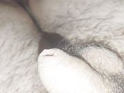 Young hairy uncut dick 