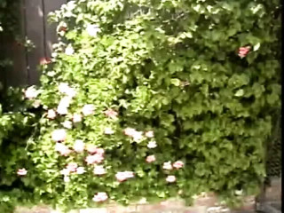 Stunning blonde ho with great tits sucks cock before nice hard anal fucking