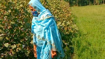 /beam/67a8635bcc498f247e93a64c