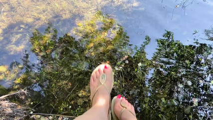 A Day in the Nature