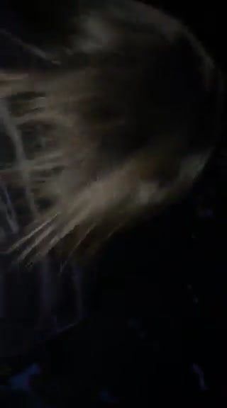 /beam/67a85fe9cc498f247e642394