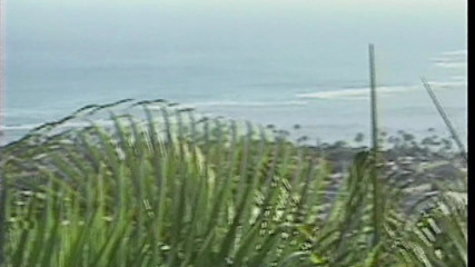 Island Fever 02 Scene 2
