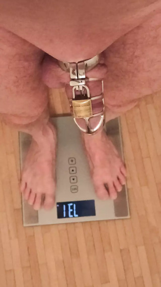 No play only weighing and cagecheck of 27.01.2023