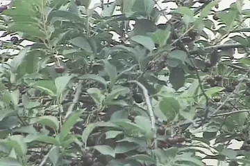 /beam/67a8636bcc498f247e946a71