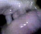 /beam/5159536