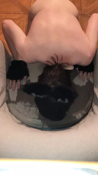 Bad Kitty pisses on Chair and licks it :3