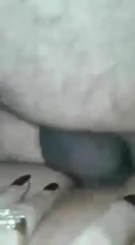 gozando no cuzinho da boneca sem camisinha