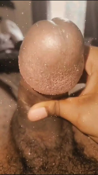 Exhibits huge hypnotic black mushroom