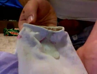 Chubby College Cub Cumming on a Pink and White Adidas Sock