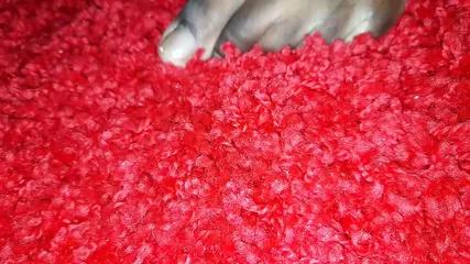 /beam/67a861becc498f247e7f8a5a