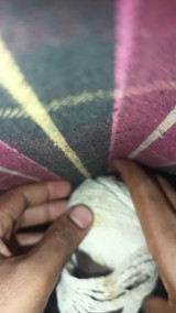 Hot sex indian
