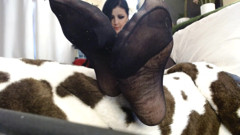 Closeup Black Nylon Pantyhose Feet