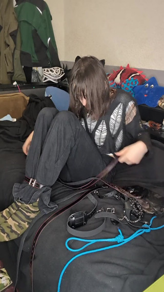 trying head harnes hogtie