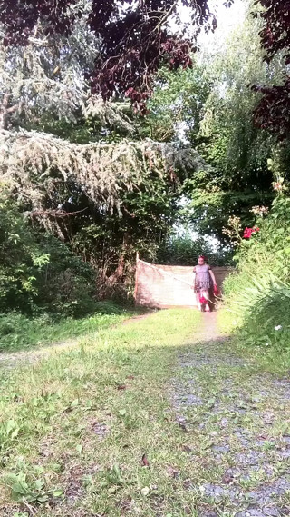 Dressed with a little transparent floral dress for an evening